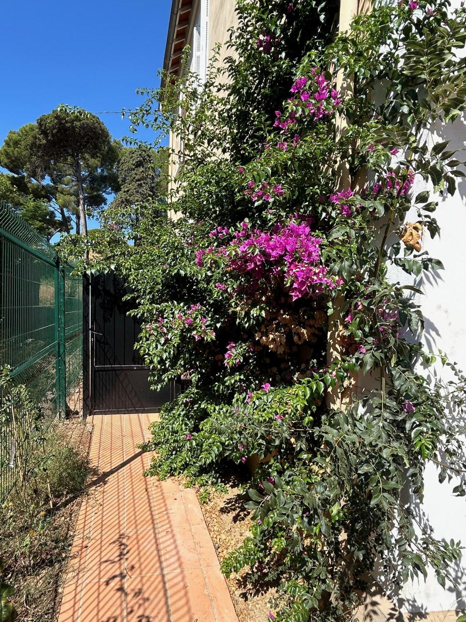 Villa Les Lys 2 La Seyne-sur-Mer Exteriér fotografie